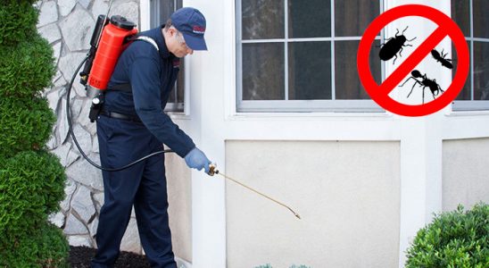 Çardak Böcek ve Haşere İlaçlama böcek ilaçlama ve haşere kontrolü — ilaclama-tr.com